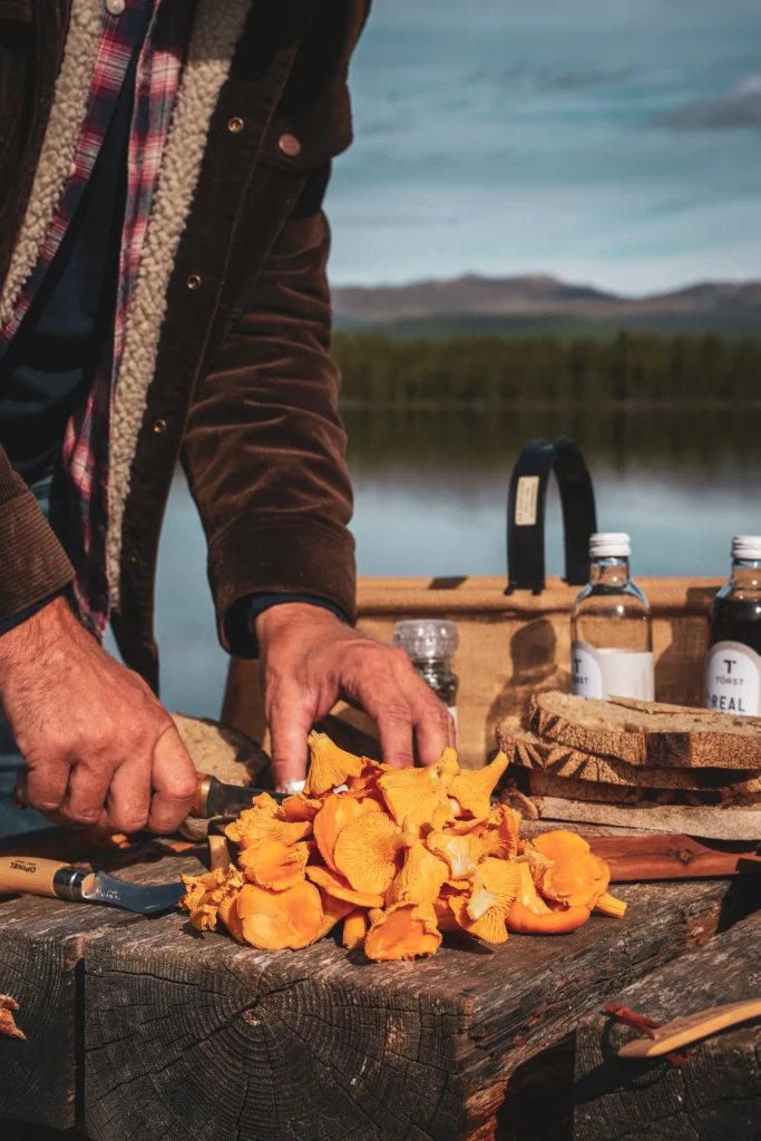 matlagning kantarell 