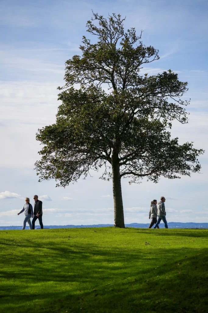 Strandlinjen Landskrona